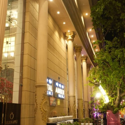 Golden Apple Banquets Pitampura wedding