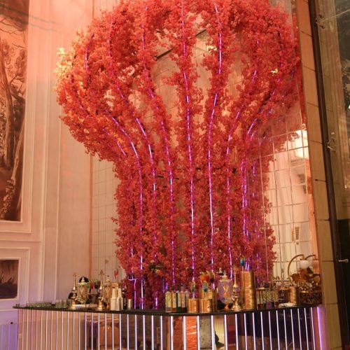Rohini banquet halls for weddings